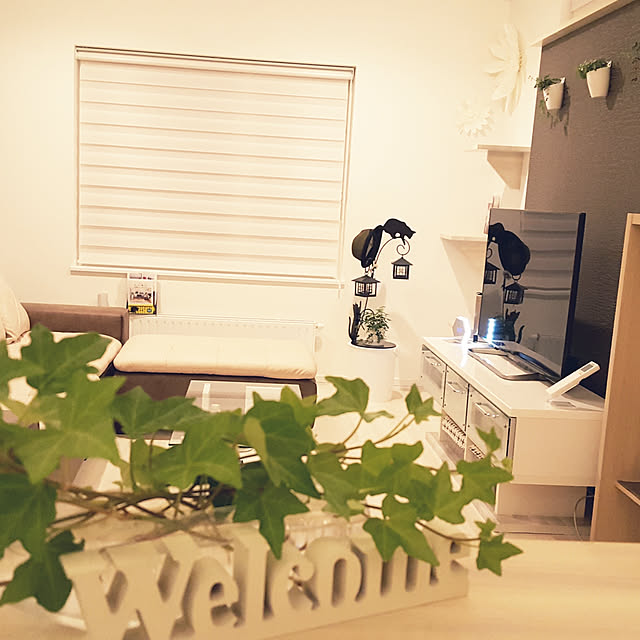 megu.catさんの実例写真