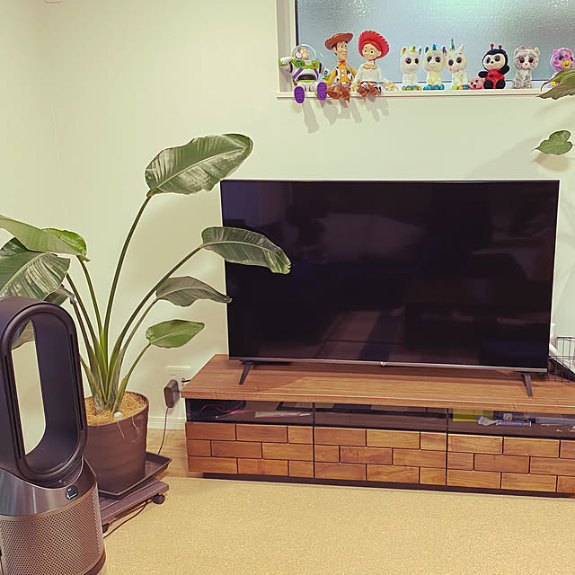 moainanoさんの実例写真