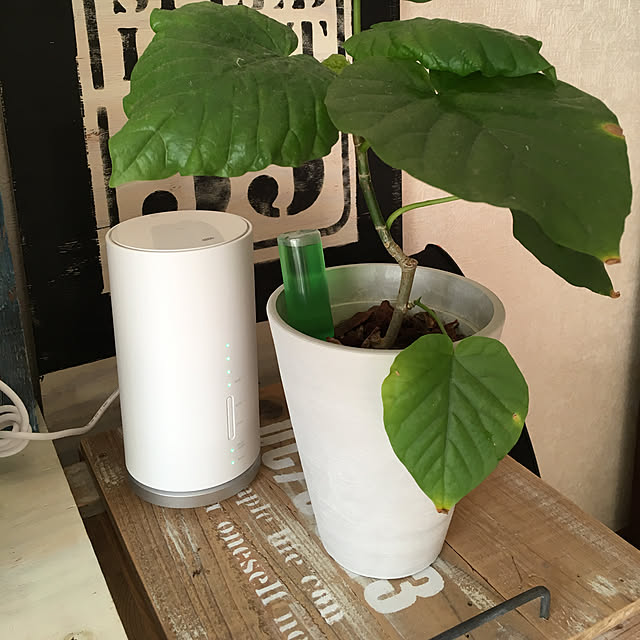 T.S.Pさんの実例写真