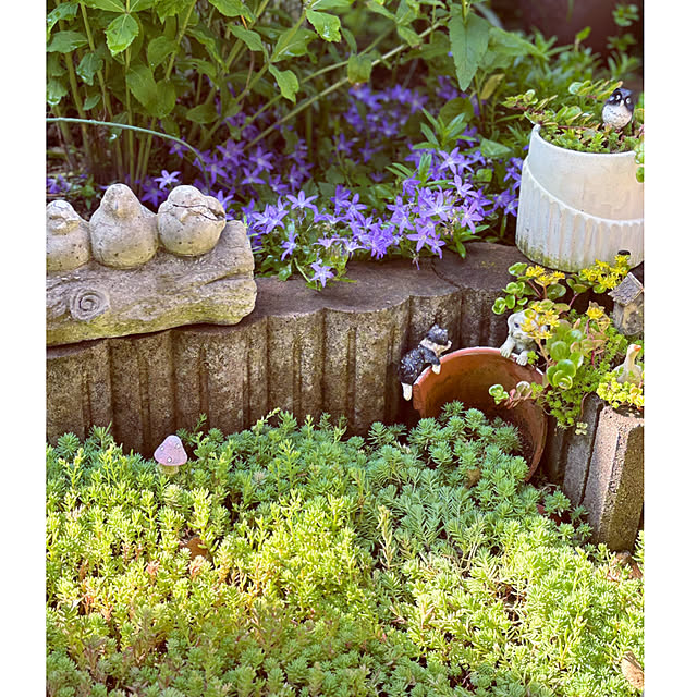 CoCo0617さんの実例写真