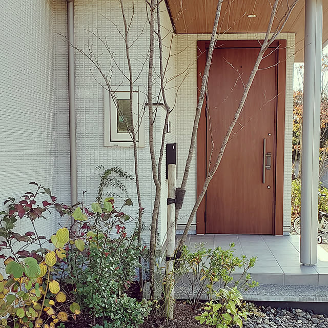 Saranさんの実例写真