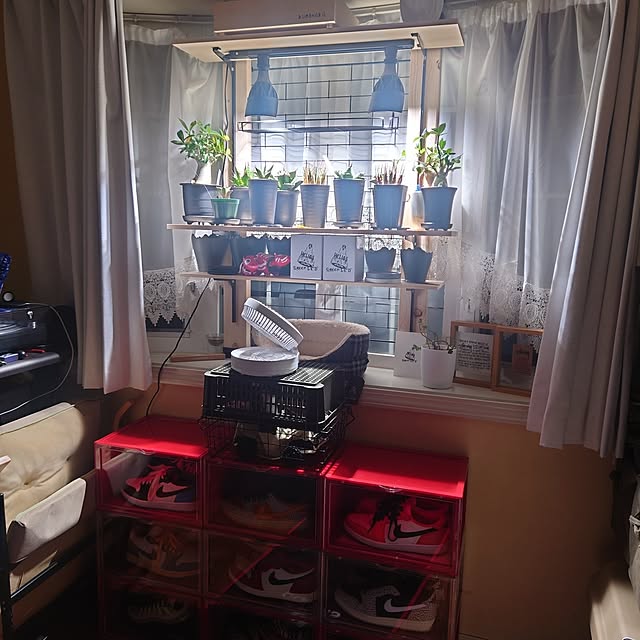 tropical_happy_lifeさんの部屋