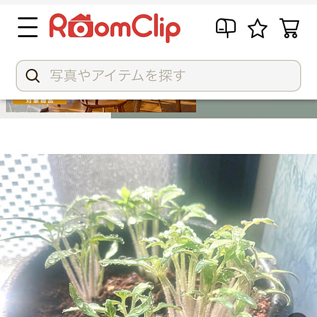 MOMOMAMAさんの部屋