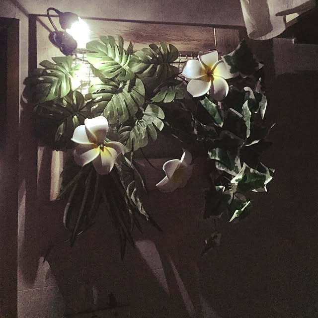 novicoさんの実例写真