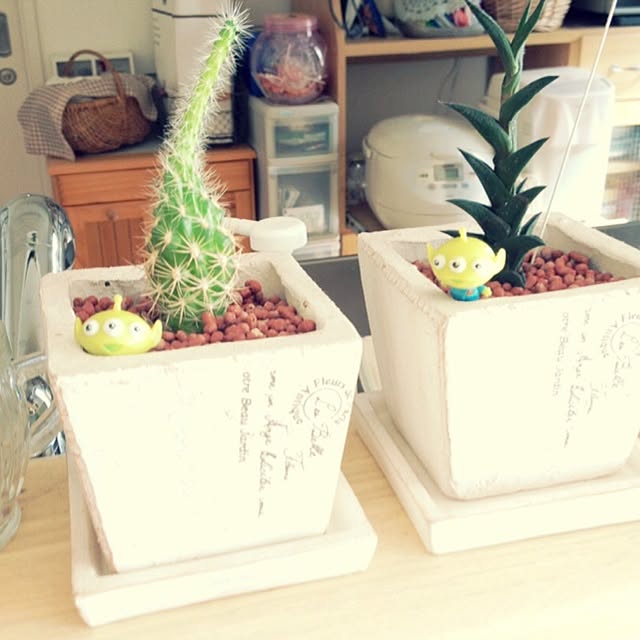 akaneさんの実例写真