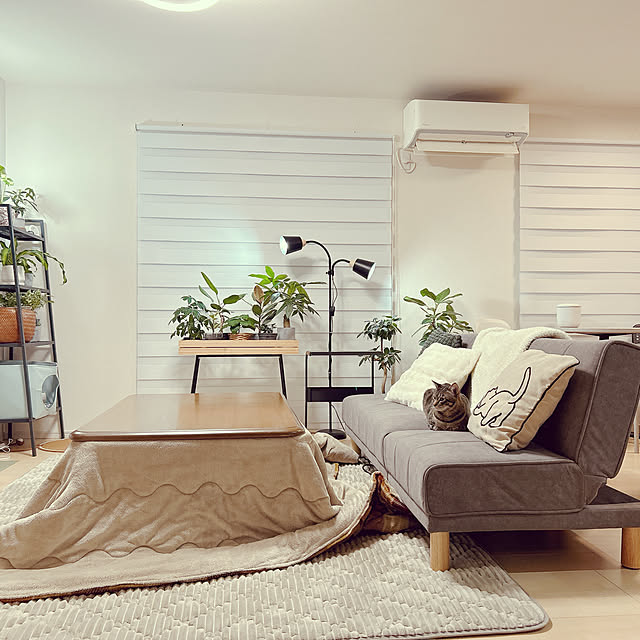 pi-popaさんの実例写真