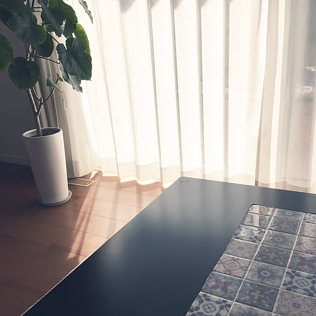 carri_yさんの実例写真
