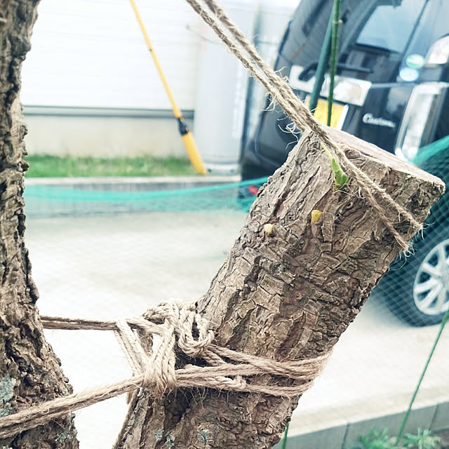 natumamaさんの実例写真