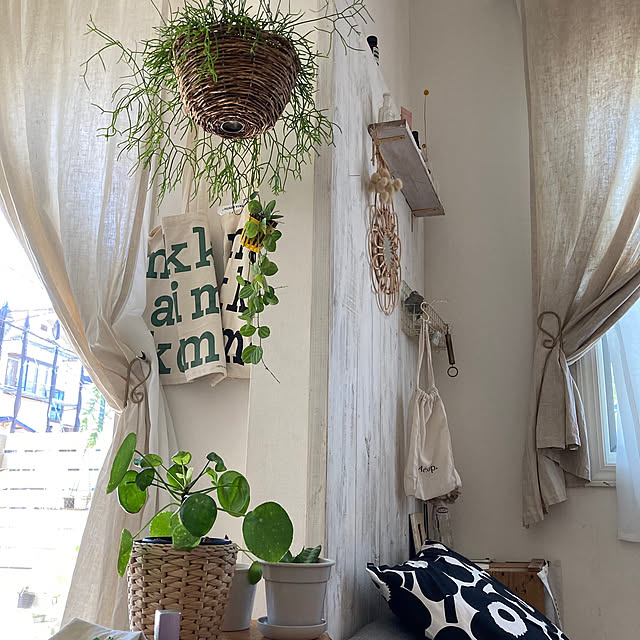 壁/天井/緑のある暮らし/観葉植物/marimekko/リプサリスのインテリア実例 - 2023-09-02 10:41:17