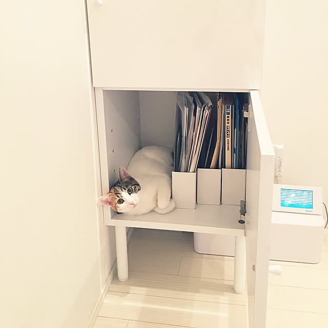 koumeさんの実例写真