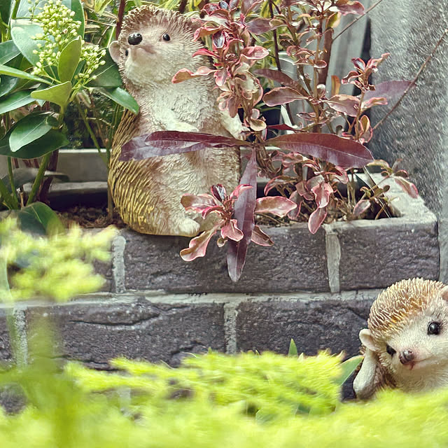 DAYONEさんの部屋