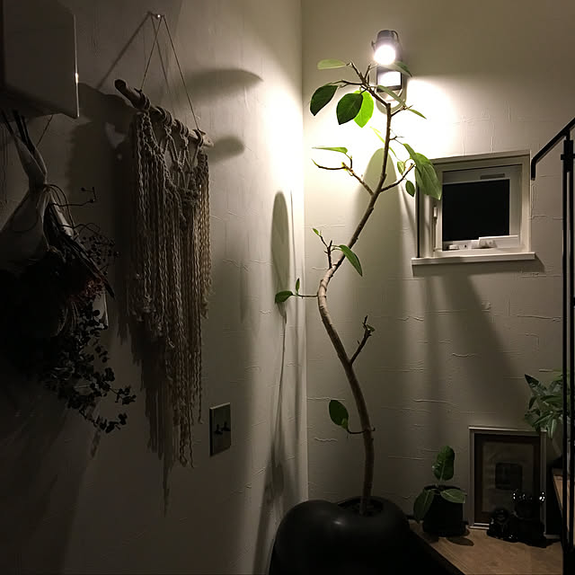 waoukaiさんの実例写真