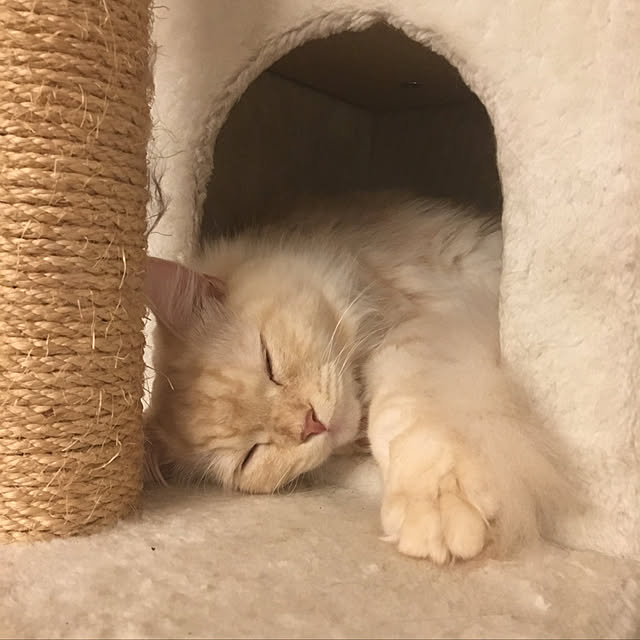 takiさんの実例写真