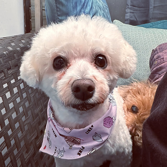 chacoさんの実例写真