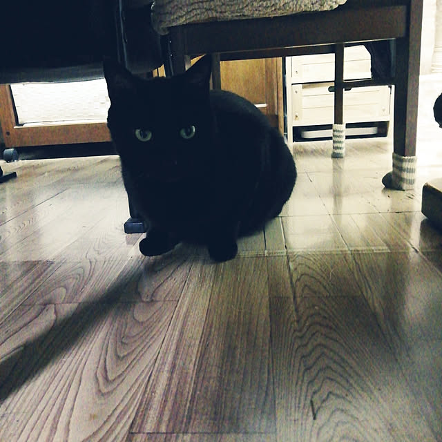 Tomopさんの実例写真