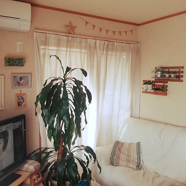 実例写真