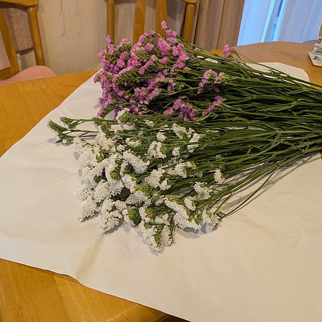 chi_gogaさんの部屋