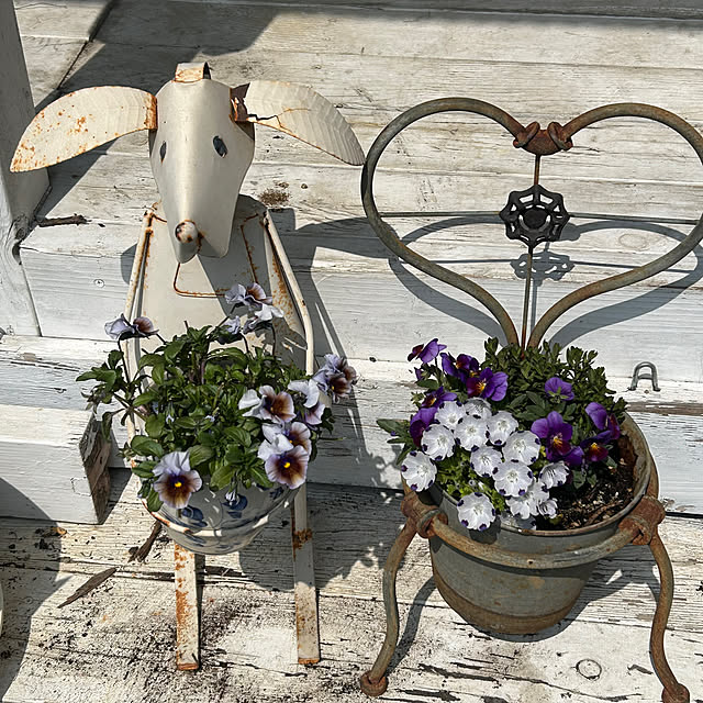 sukkorobiさんの部屋