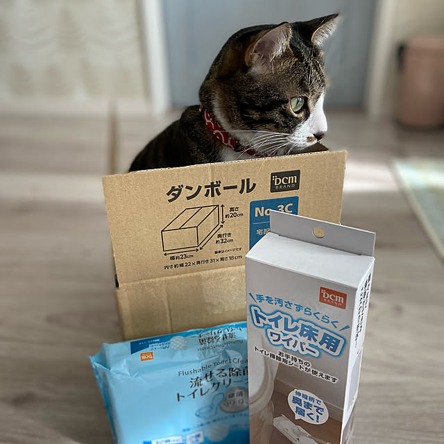 ippu0303Karinさんの実例写真