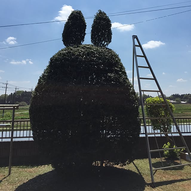 runbabiさんの実例写真
