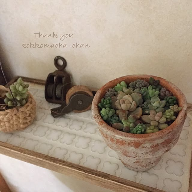 kurumichocoさんの実例写真
