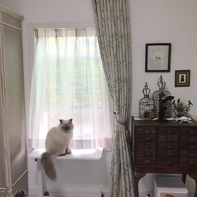 yuchiさんの実例写真
