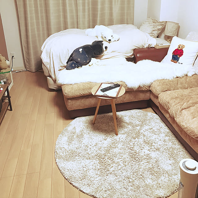 hoshiさんの実例写真