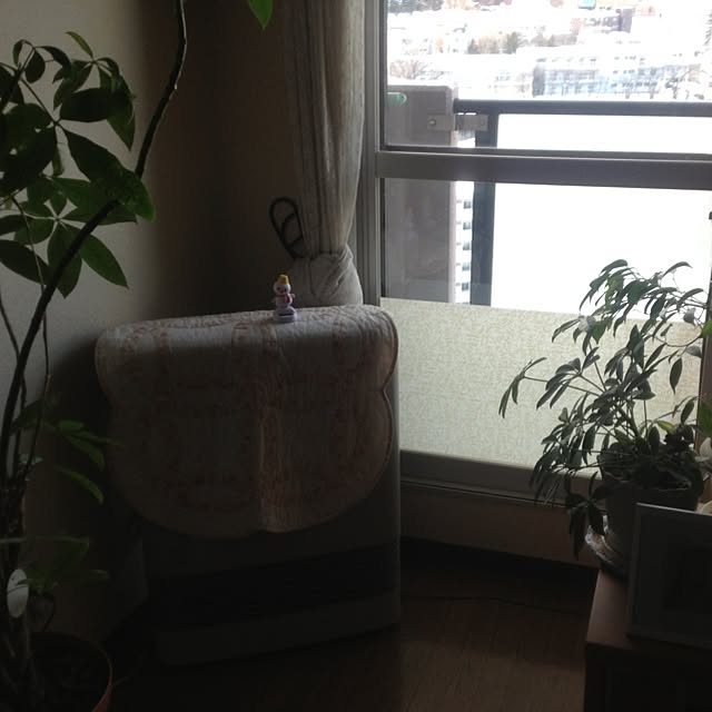 Mitsueさんの実例写真