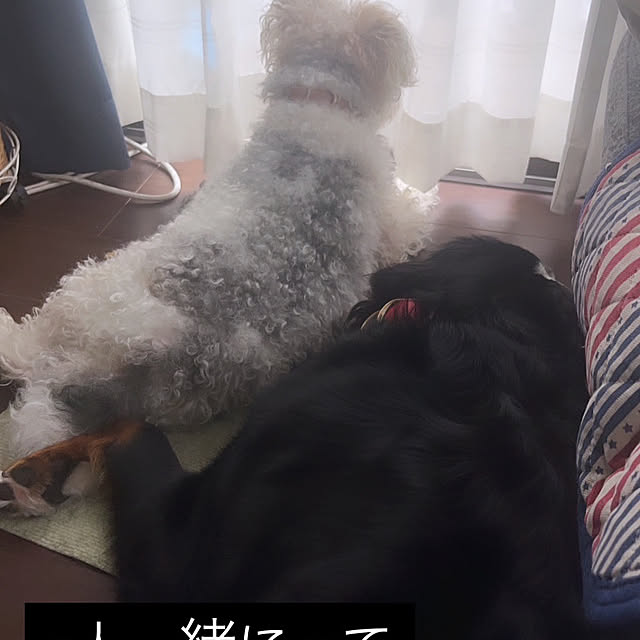 miyukiさんの部屋