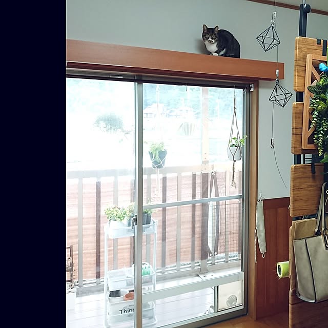 nachiさんの部屋