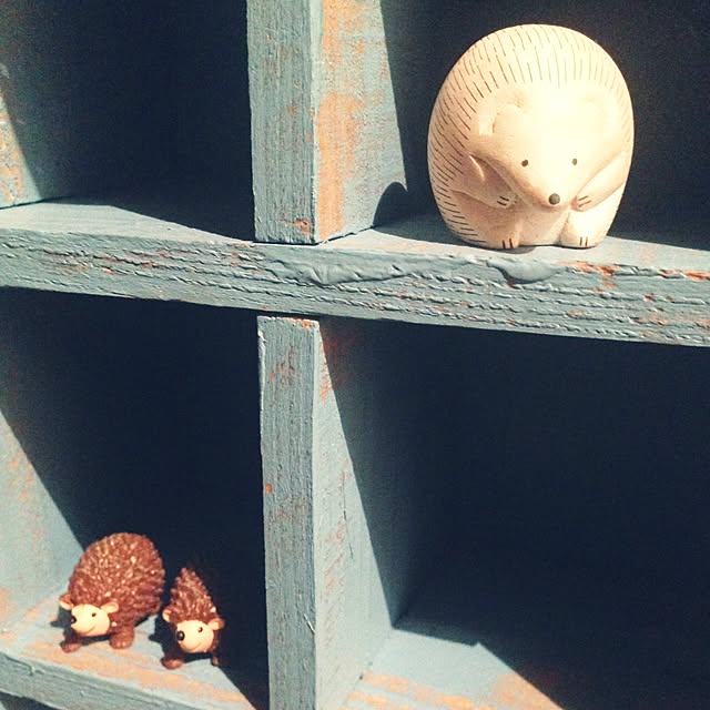maskcatさんの実例写真