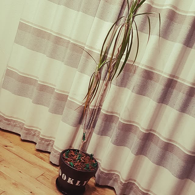 n06k27さんの実例写真