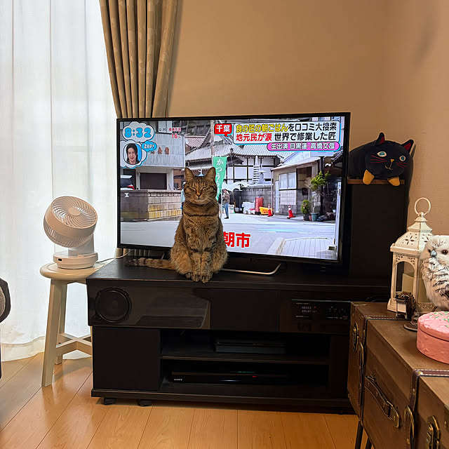 chiiさんの実例写真