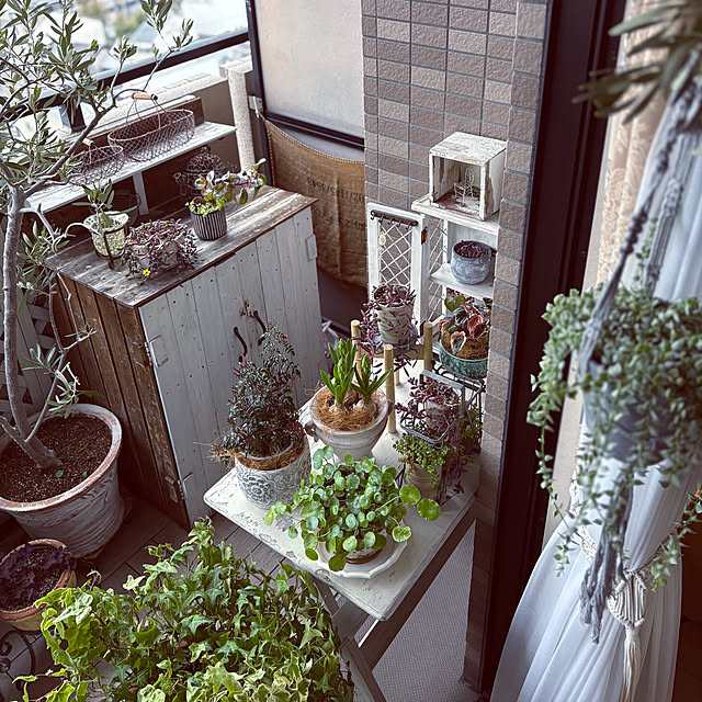 momo_sanさんの部屋