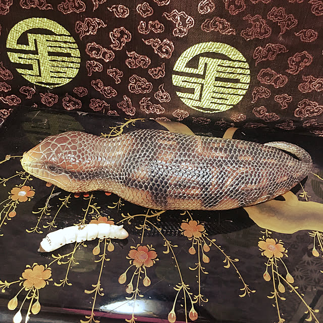 takakuzenさんの実例写真