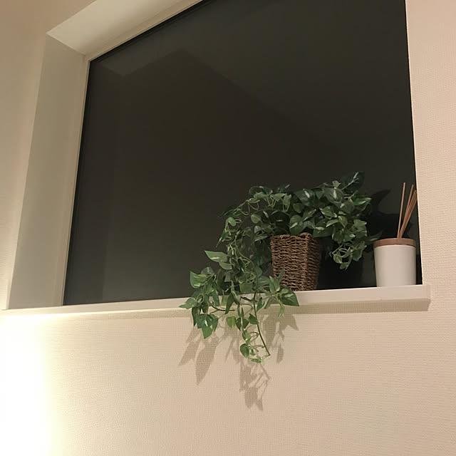 Minaminoさんの実例写真