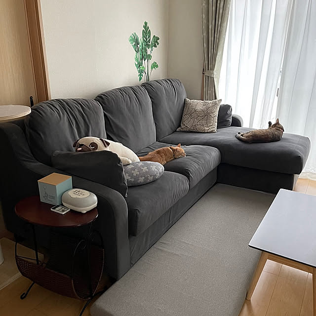 chiiさんの実例写真