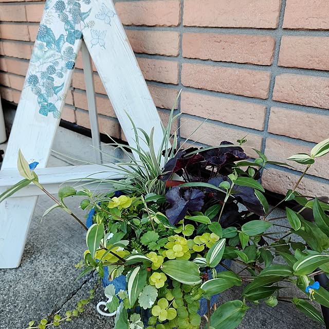 kiraさんの部屋