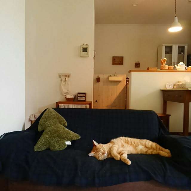 mayutan.さんの実例写真