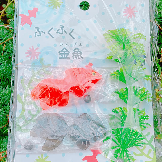Hanakaさんの部屋