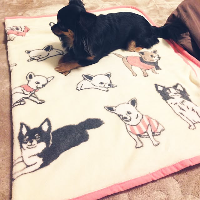 kotahiguさんの実例写真