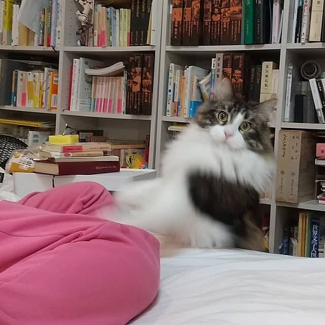 Yさんの実例写真