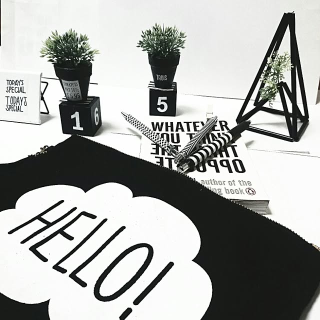 Hitomiさんの実例写真