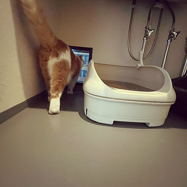 chocoさんの部屋