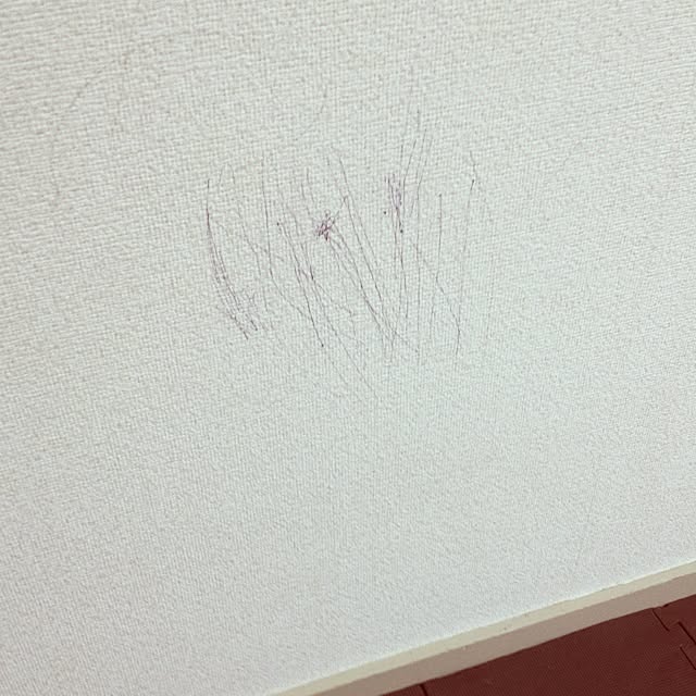 nanaKichiさんの実例写真