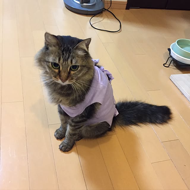 yuki0511さんの実例写真