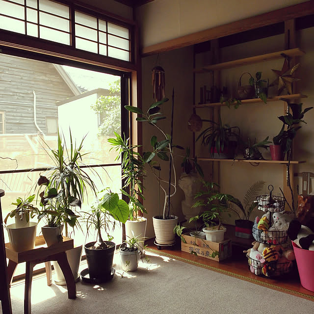 shion825さんの実例写真
