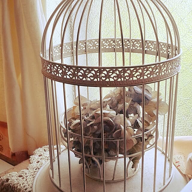 383junkさんの実例写真