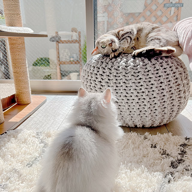 tina_sa_0さんの実例写真