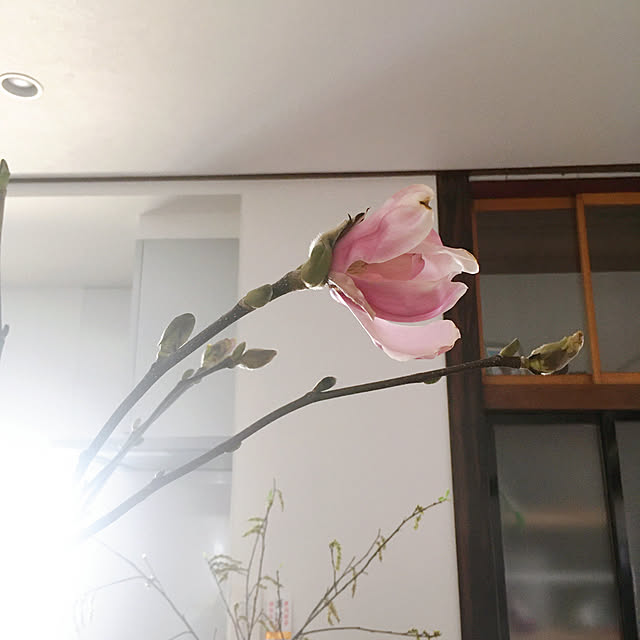 stripeblueさんの実例写真